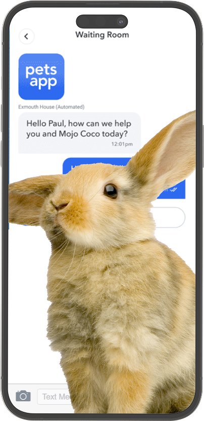 Screenshot on Smartphone of the PetsApp Service