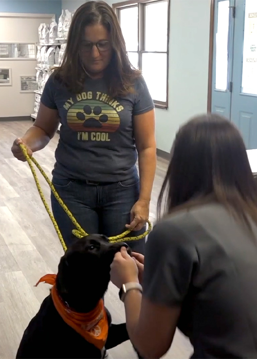 woman arriving in the hospital with her dog