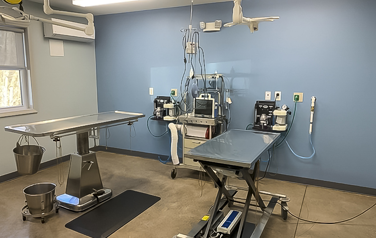 Surgical Suite