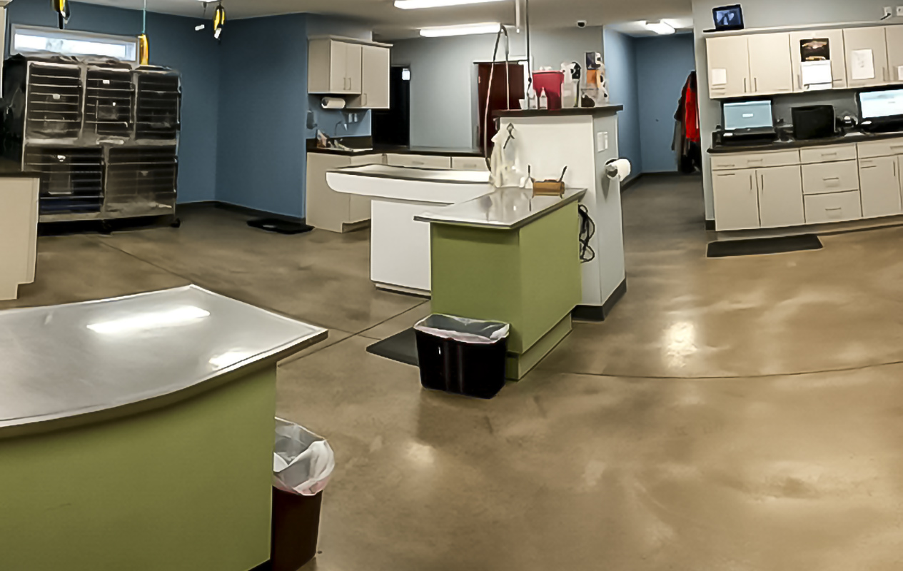 Treatment Area